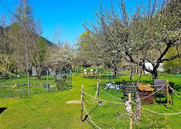 La Cérisola B46