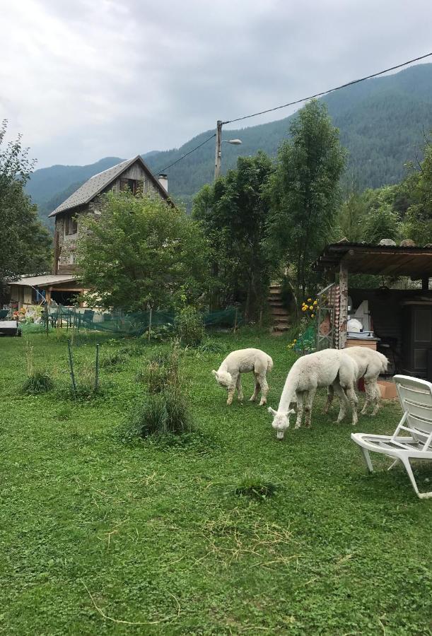 La Cerisole *